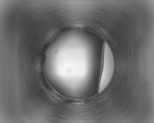 X0000056360552200508260949