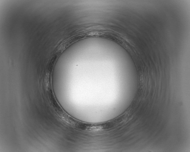 X0000056360554200508260949