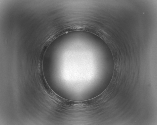 X0000056360556200508260949