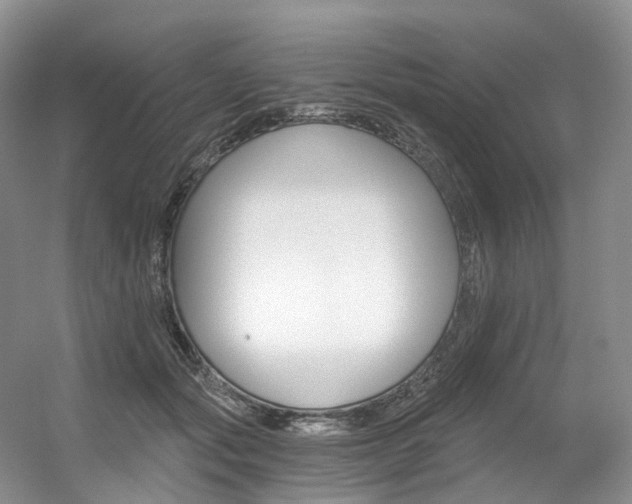 X0000056360557200508260949