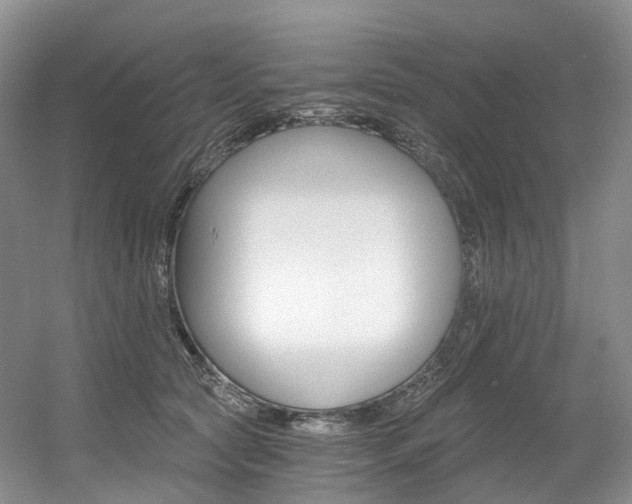 X0000056360561200508260949