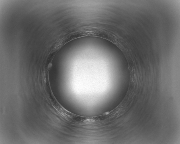 X0000056360562200508260949