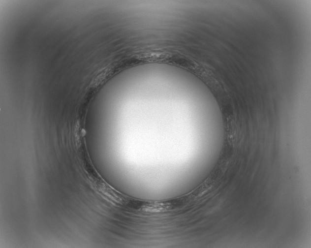X0000056360563200508260949