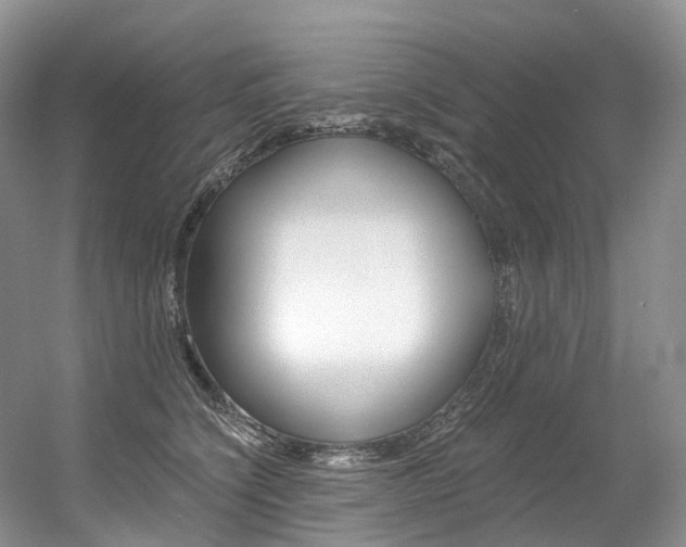 X0000056360564200508260949