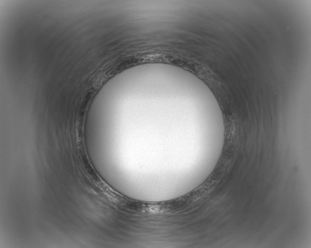 X0000056360565200508260949