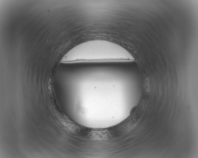 X0000056360571200508260949