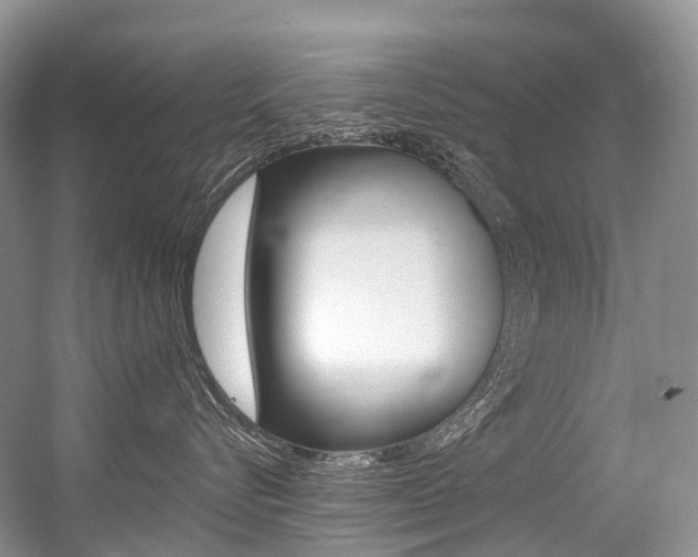 X0000056360576200508260949