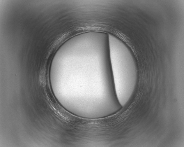 X0000056360578200508260948