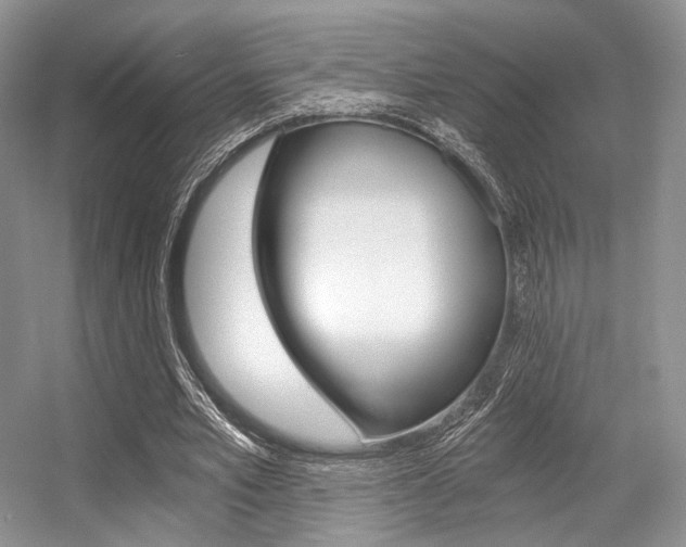 X0000056360581200508260948