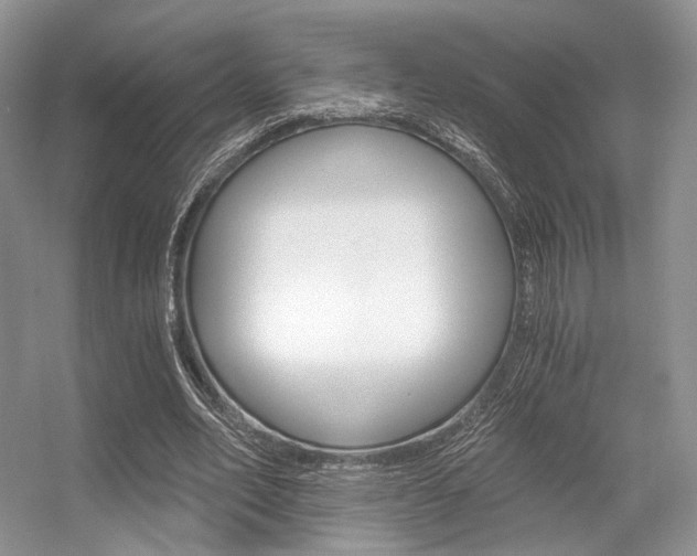 X0000056360582200508260948