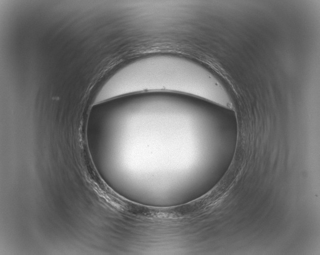 X0000056360585200508260948