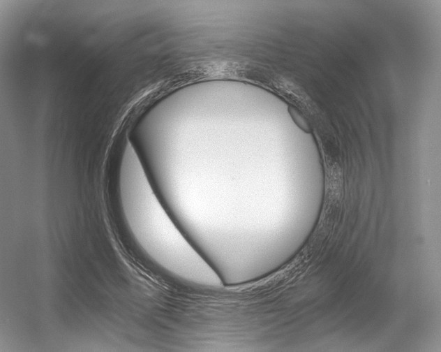 X0000056360587200508260948