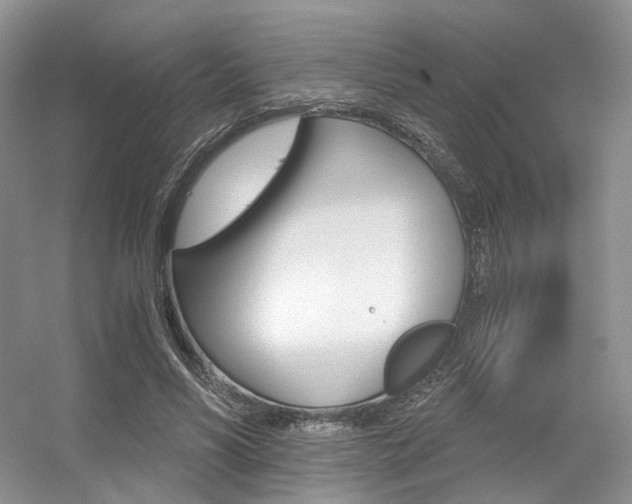 X0000056360590200508260948