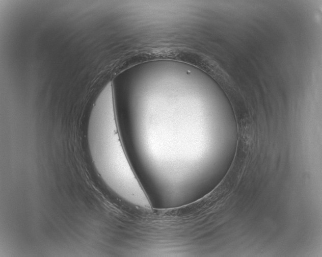 X0000056360593200508260948