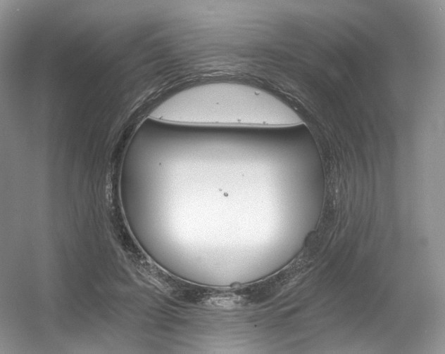 X0000056360595200508260948