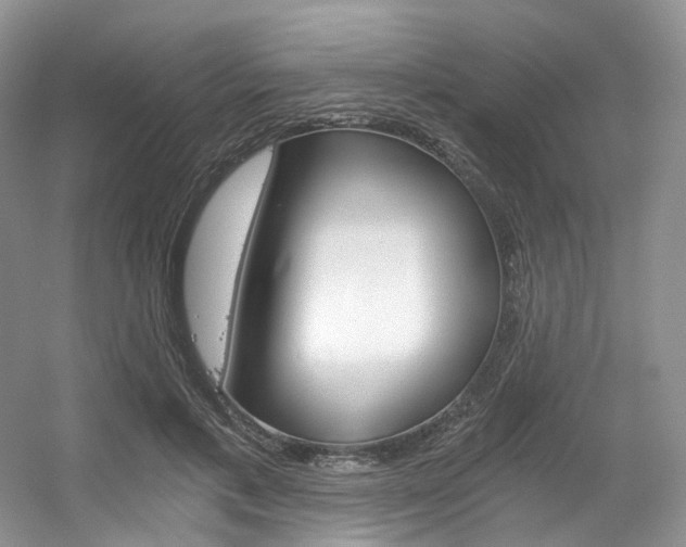 X0000056360597200508260948