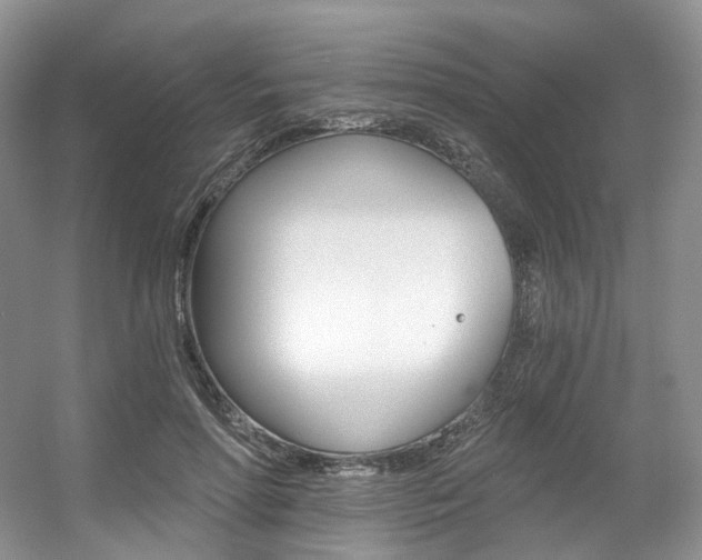 X0000056360598200508260948