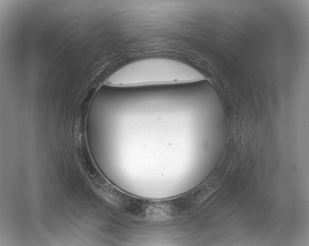 X0000056360599200508260948