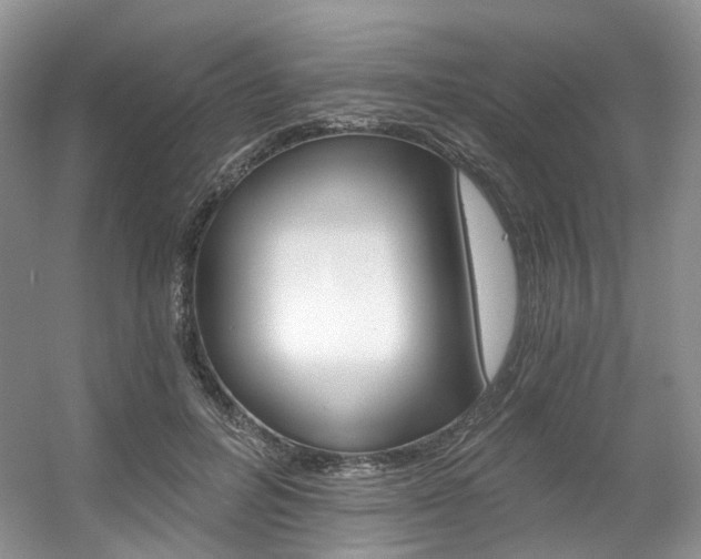 X0000056360600200508260948