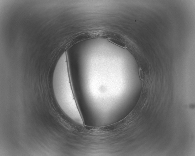 X0000056360601200508260948