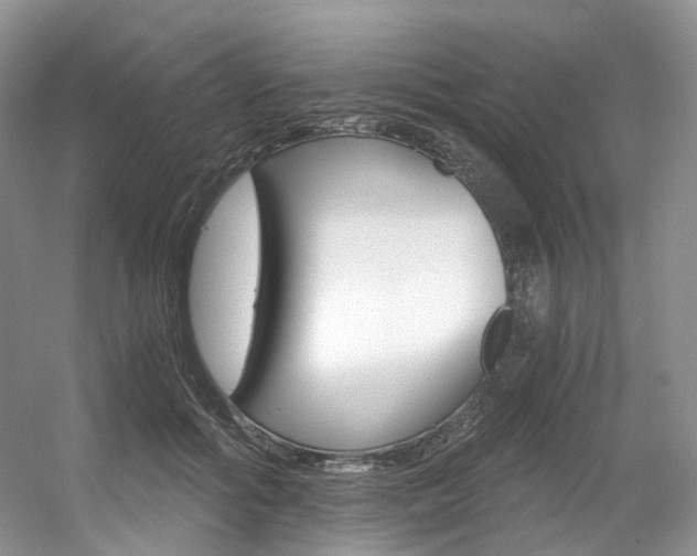 X0000056360602200508260948