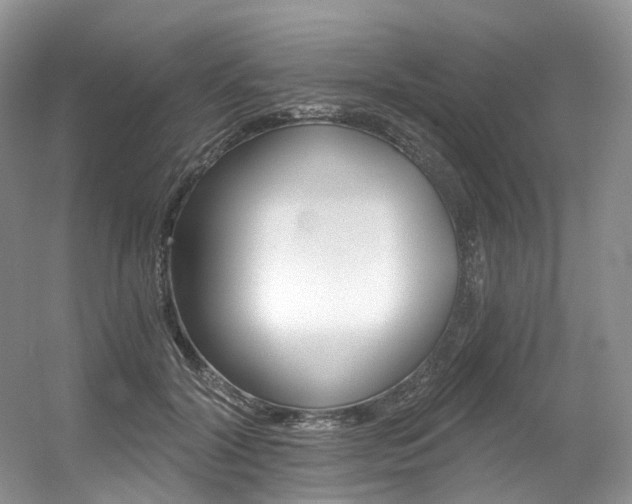 X0000056360604200508260948