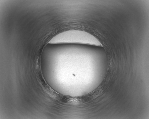 X0000056360611200508260948