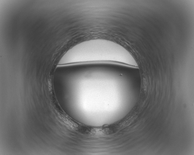 X0000056360613200508260948