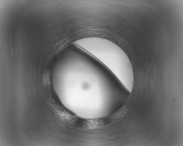 X0000056360623200508260947