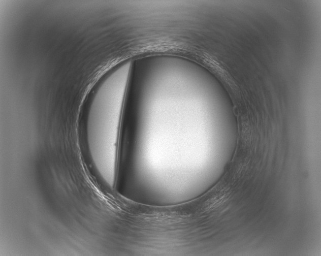 X0000056360626200508260947