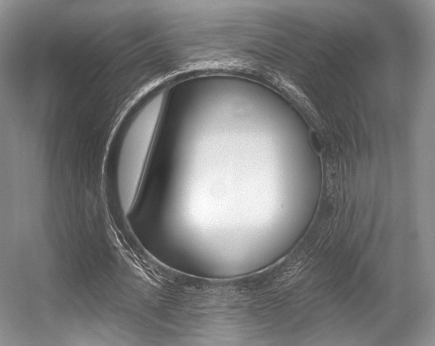 X0000056360628200508260947