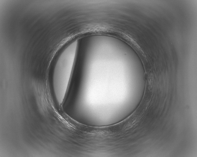 X0000056360629200508260947