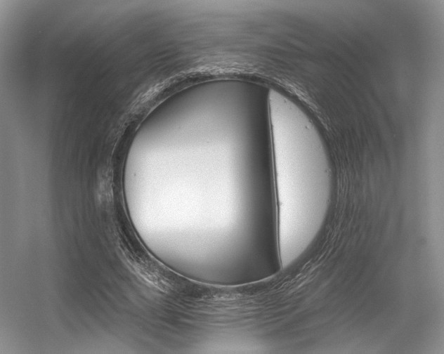 X0000056360631200508260947