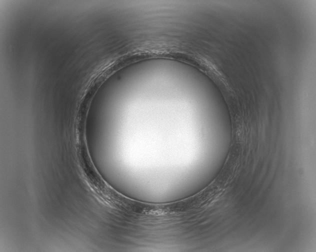 X0000056360635200508260947