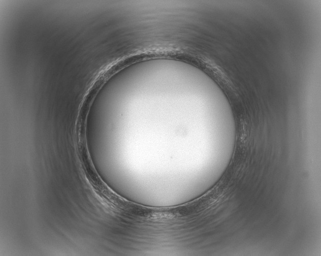X0000056360636200508260947