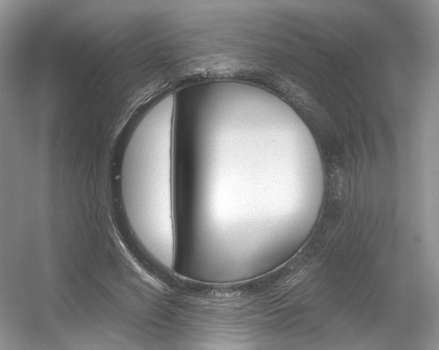 X0000056360638200508260947