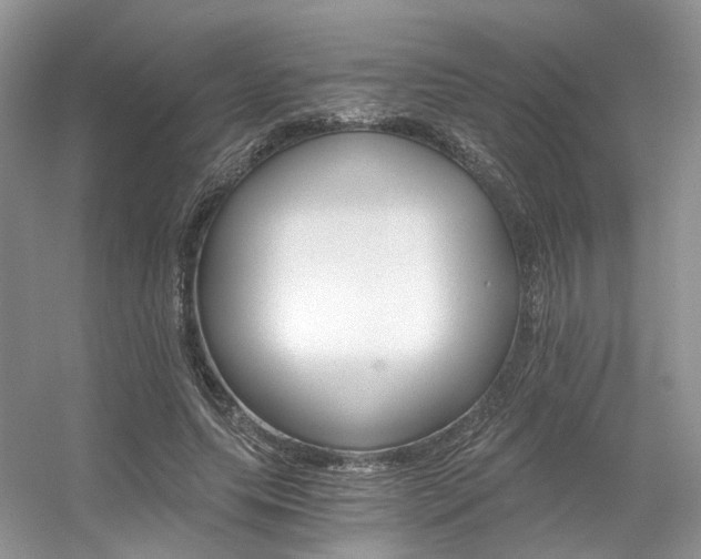 X0000056360639200508260947