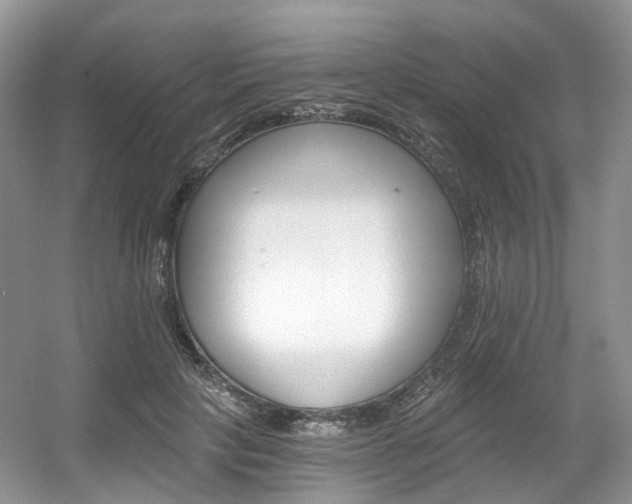X0000056360649200508260947