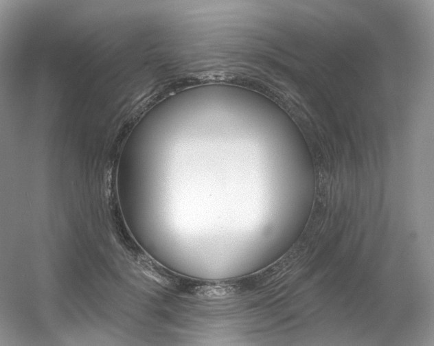 X0000056360652200508260947