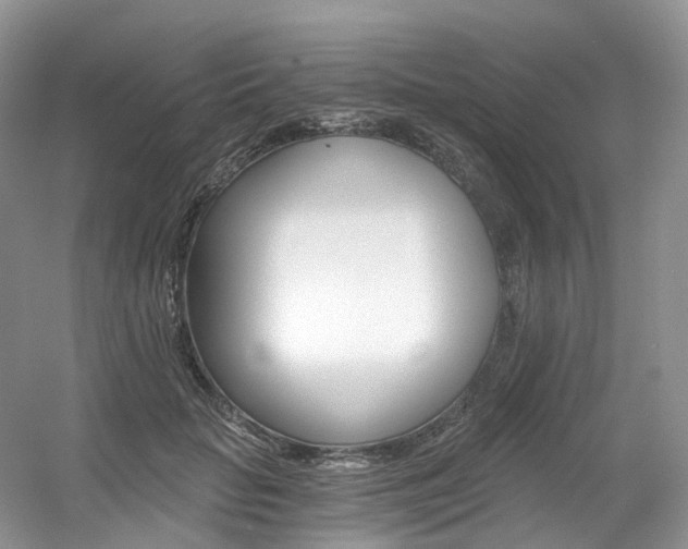 X0000056360653200508260947