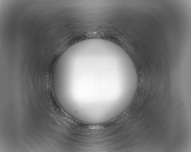 X0000056360659200508260947