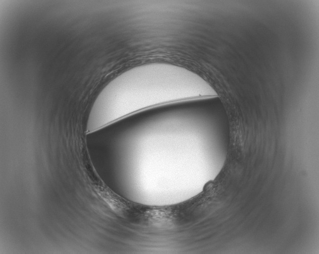 X0000056360660200508260947