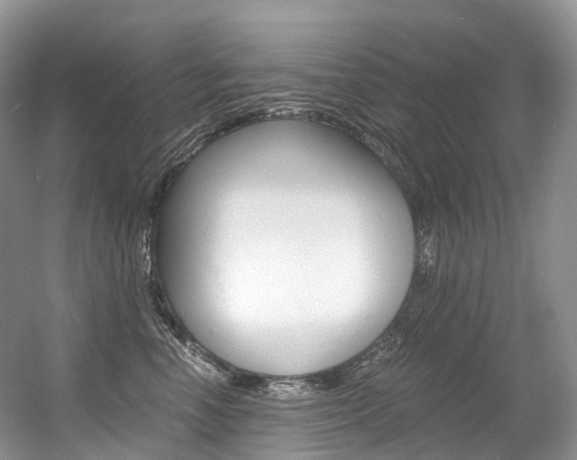 X0000056360666200508260947