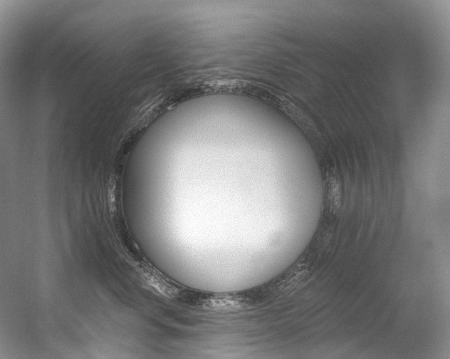 X0000056360668200508260947