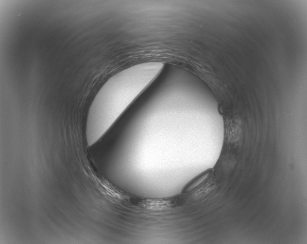 X0000056360670200508260947
