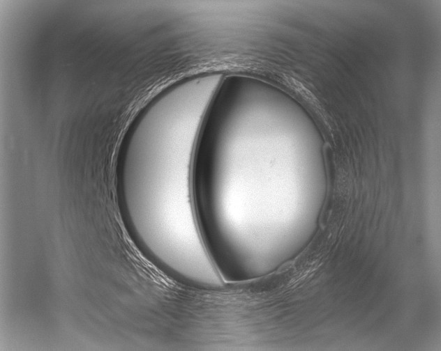 X0000056360673200508260947