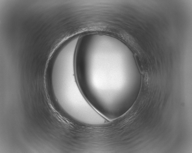 X0000056360676200508260947
