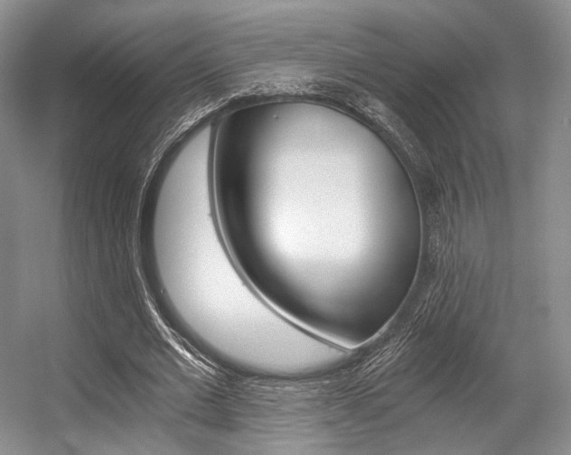 X0000056360677200508260947