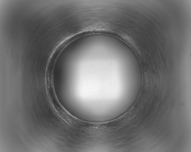 X0000056360680200508260946