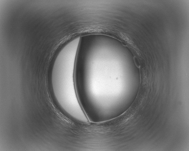 X0000056360681200508260946